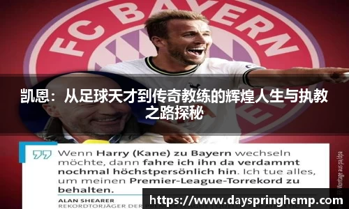 芒果体育官网入口